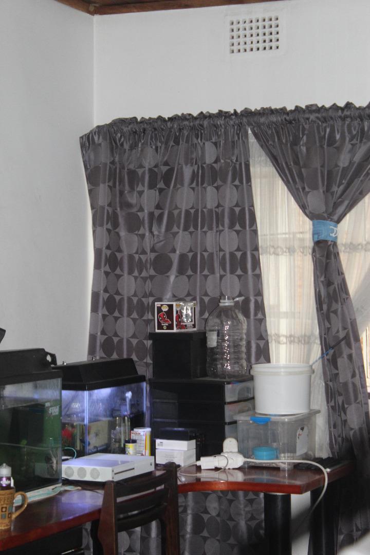536979_IMG_3830.JPG