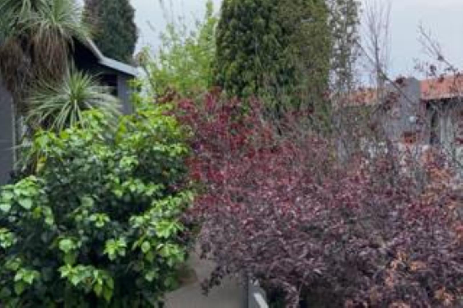 729639_Crop320x213_(18).jfif