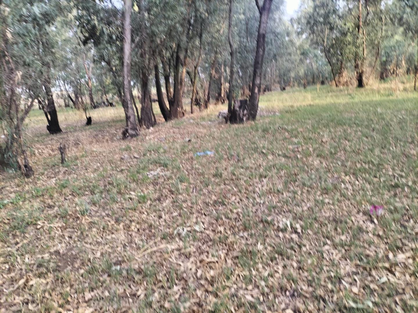 730885_IMG-20241217-WA0067.jpg