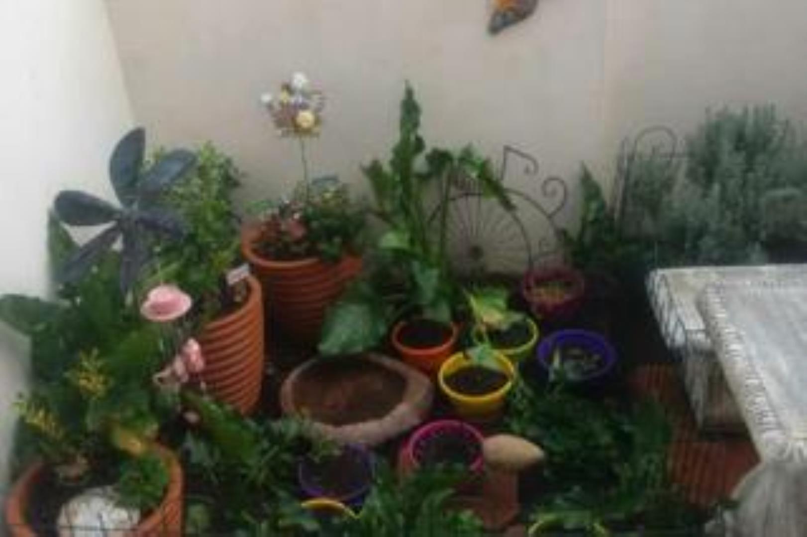 765240_WhatsApp_Image_2026-04-24_at_10.23.18_(2).jpeg
